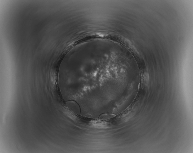 X0000116450331200912081623