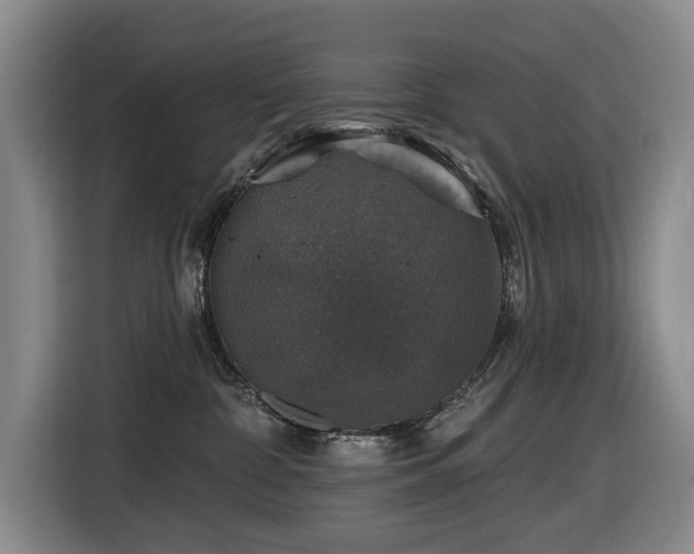 X0000116450332200912081623