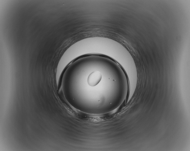 X0000116450333200912081623
