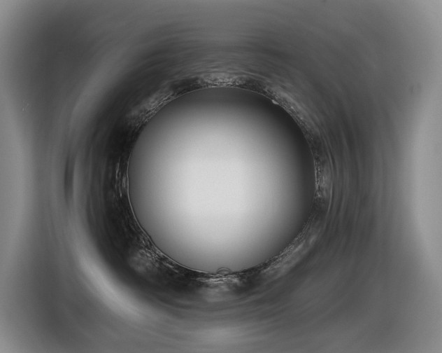 X0000116450334200912081623