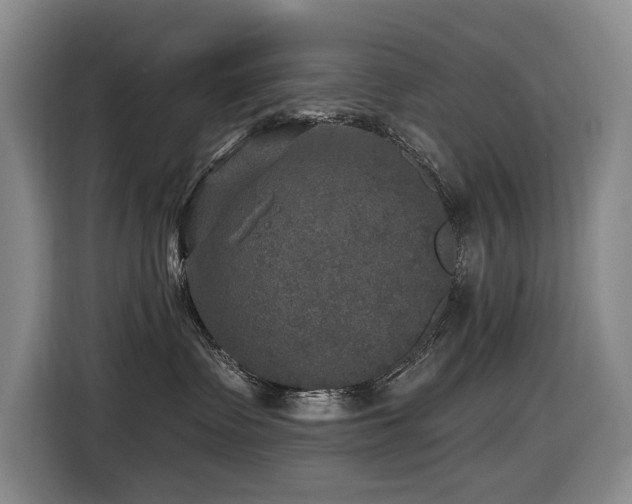 X0000116450335200912081623
