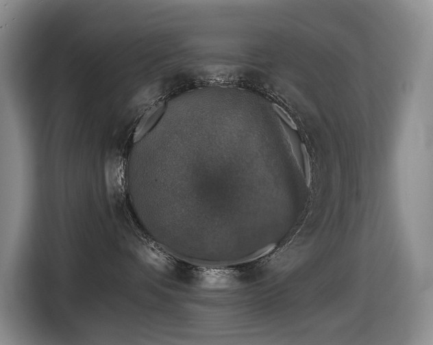 X0000116450336200912081623