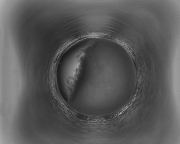 X0000116450337200912081622