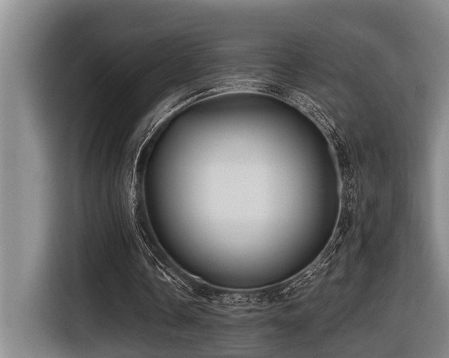 X0000116450338200912081622