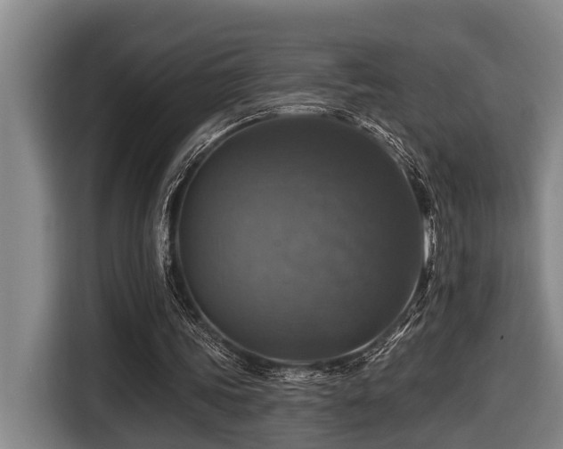 X0000116450339200912081622