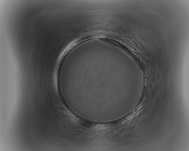 X0000116450341200912081622