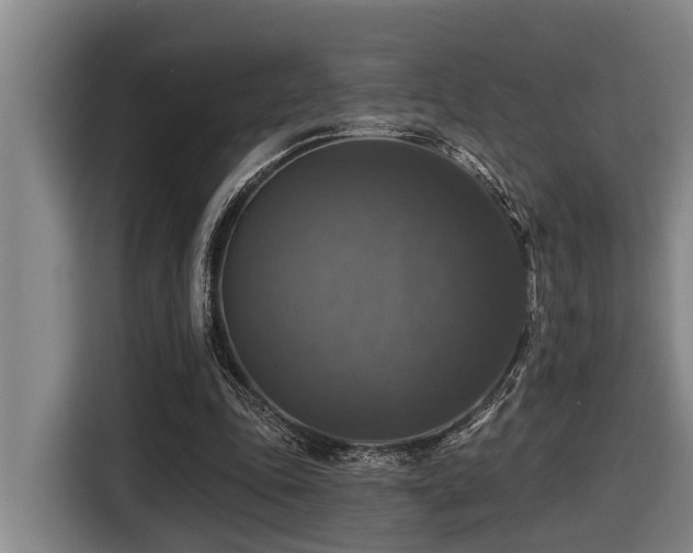 X0000116450343200912081622