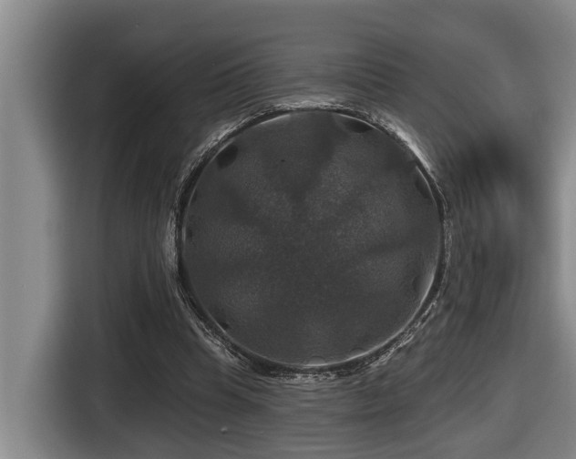 X0000116450345200912081622