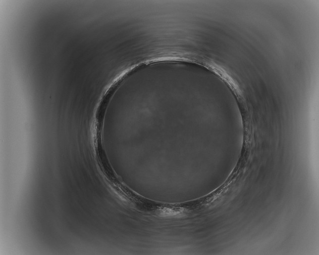 X0000116450346200912081623