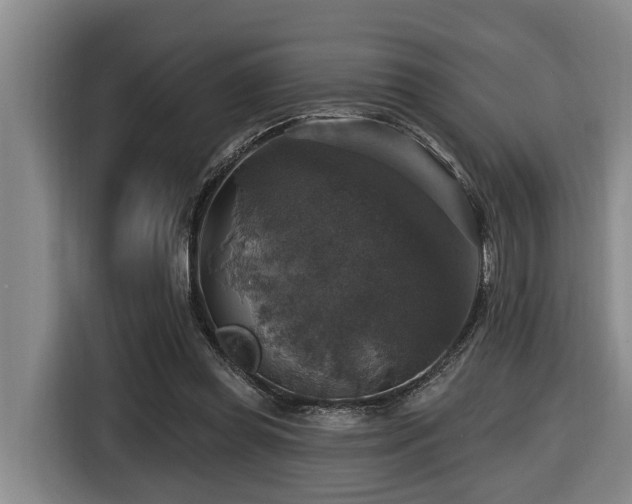 X0000116450349200912081623