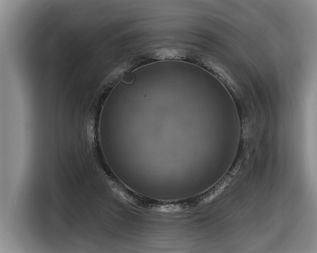X0000116450353200912081623