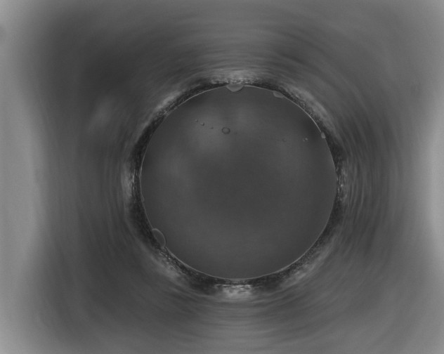 X0000116450355200912081623