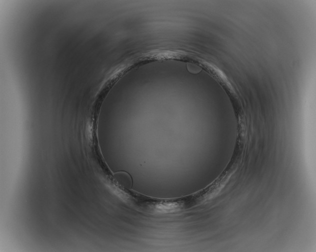 X0000116450357200912081623