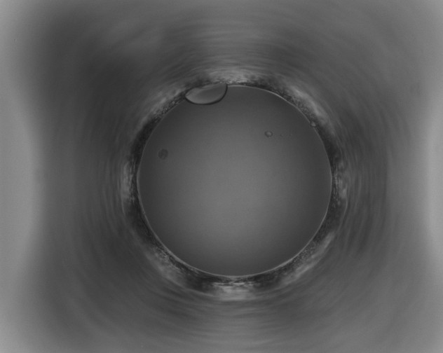 X0000116450359200912081623