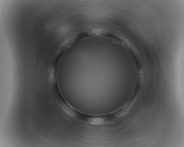 X0000116450361200912081623
