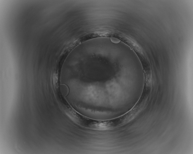 X0000116450365200912081623