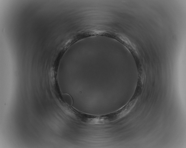 X0000116450366200912081623