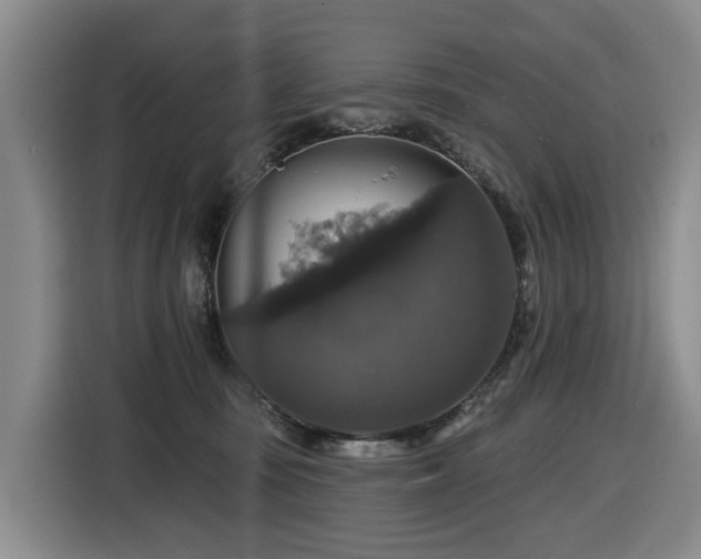 X0000116450371200912081623