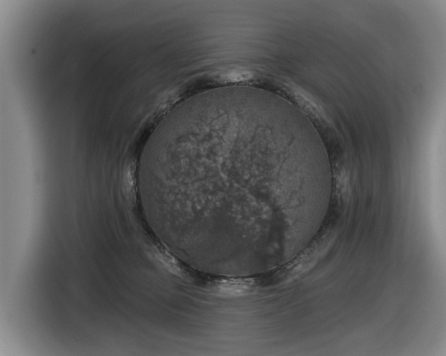X0000116450373200912081623