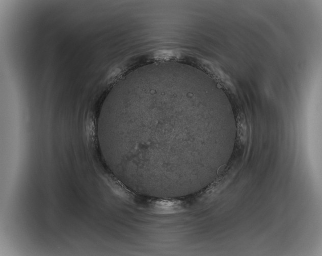 X0000116450375200912081623