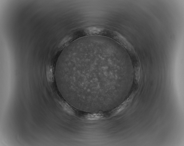 X0000116450378200912081623