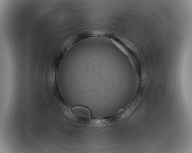 X0000116450379200912081623