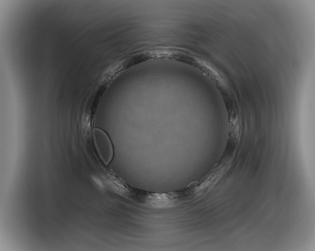 X0000116450381200912081623