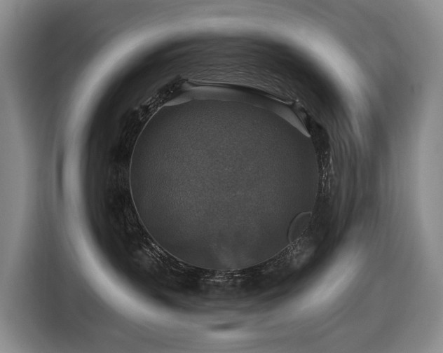 X0000116450383200912081623