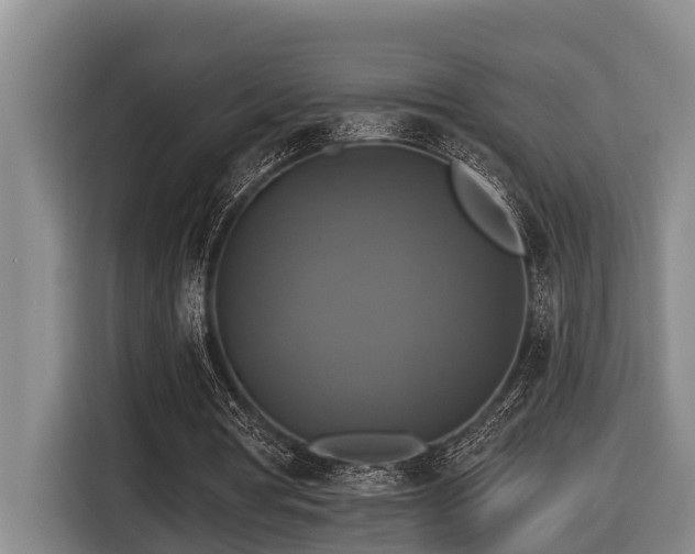 X0000116450386200912081622
