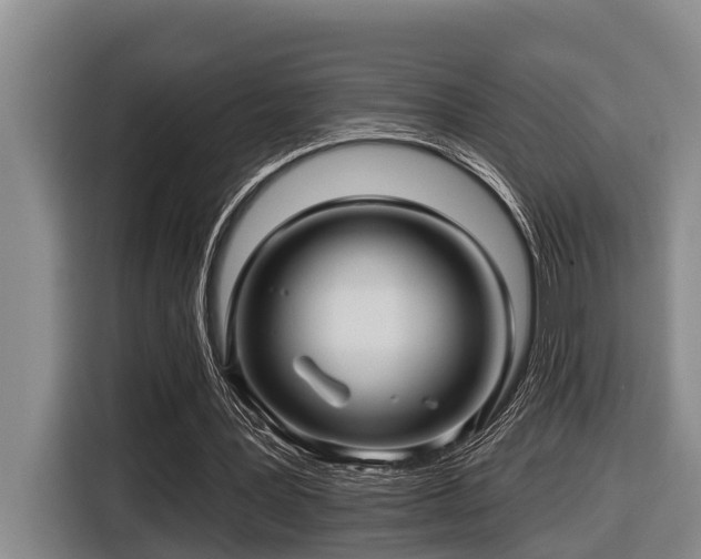 X0000116450387200912081622