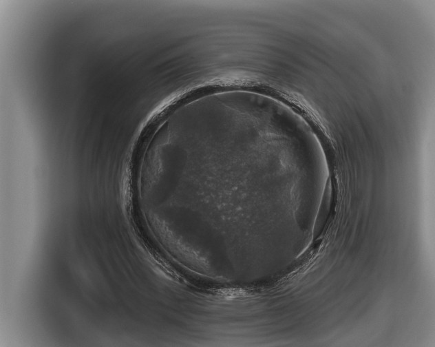 X0000116450392200912081622