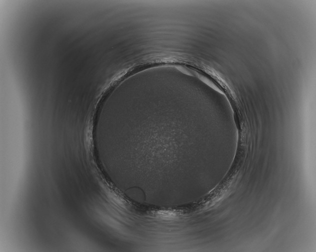 X0000116450394200912081622