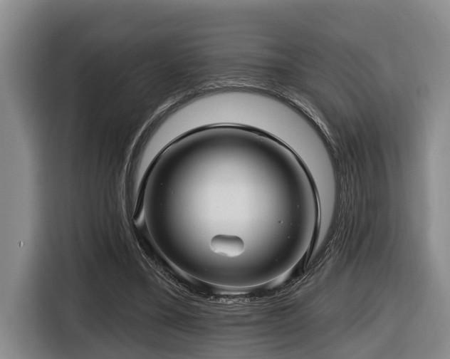 X0000116450395200912081622
