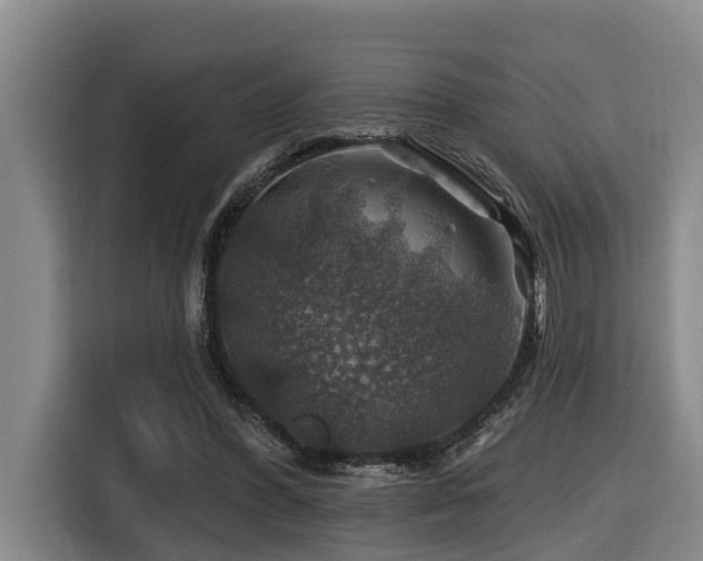 X0000116450396200912081622