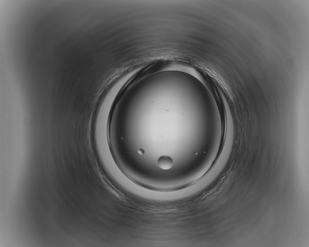 X0000116450397200912081622