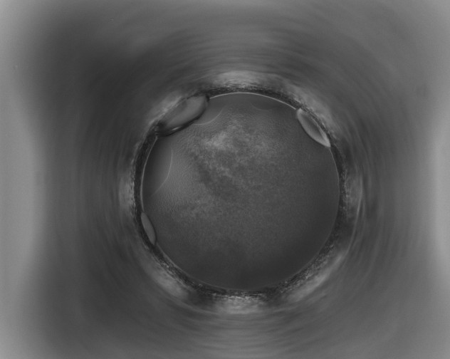 X0000116450399200912081622