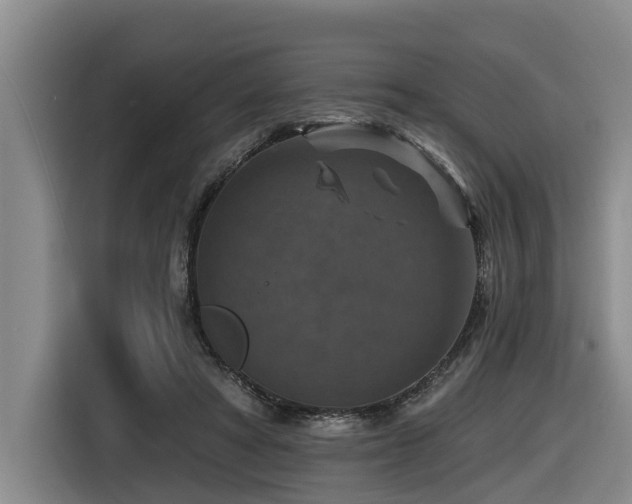 X0000116450402200912081622