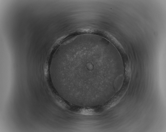 X0000116450403200912081622