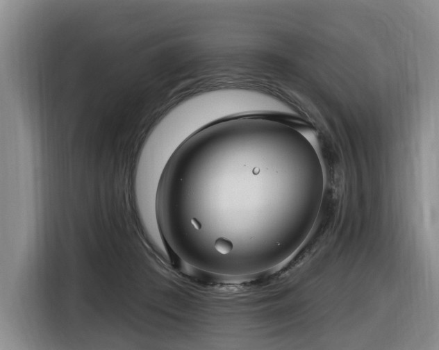 X0000116450409200912081622