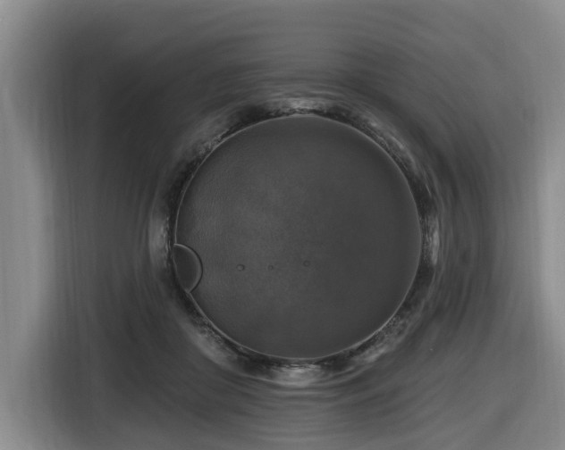X0000116450410200912081622
