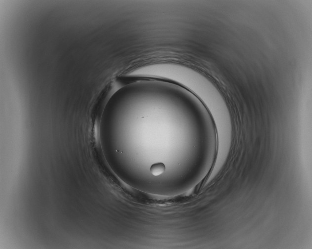 X0000116450411200912081622