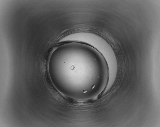X0000116450413200912081622