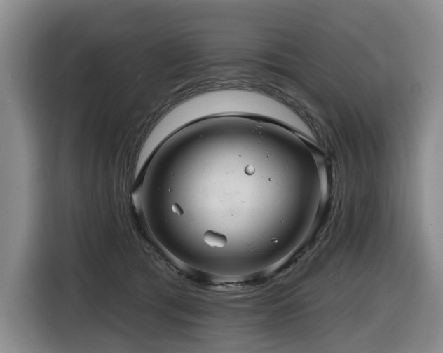 X0000116450417200912081622