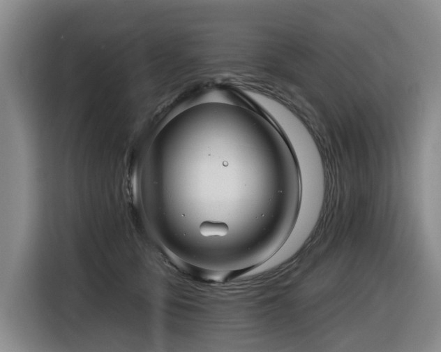 X0000116450419200912081622