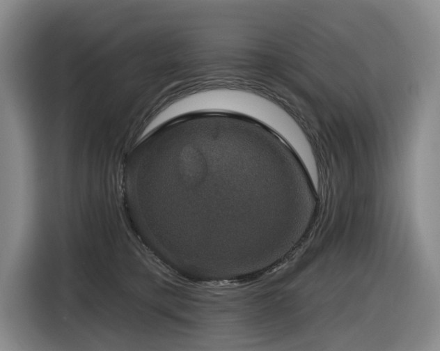 X0000116450421200912081622