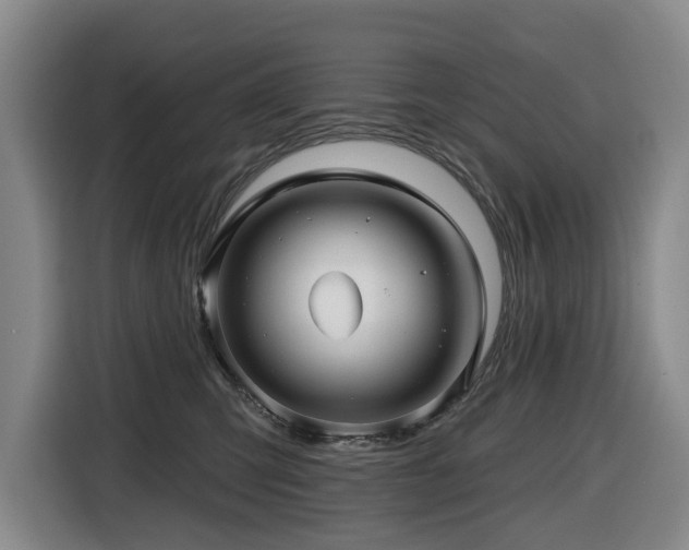 X0000116450423200912081622