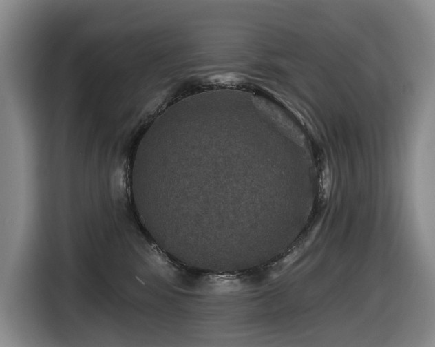 X0000116450424200912081622