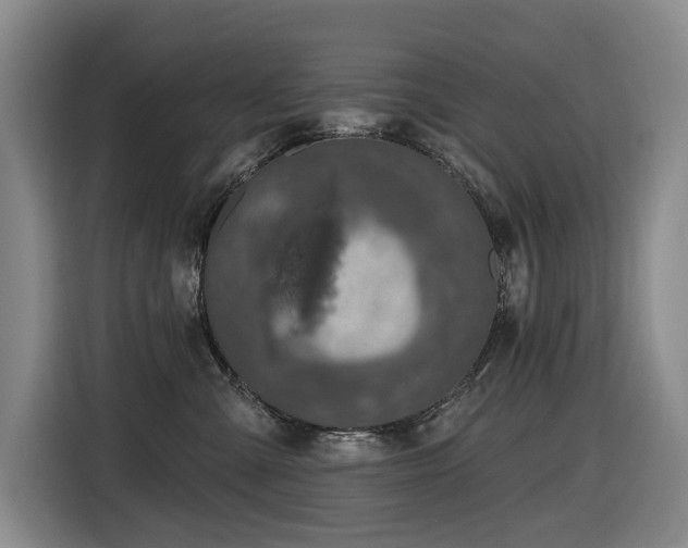 X0000116450427200912081622