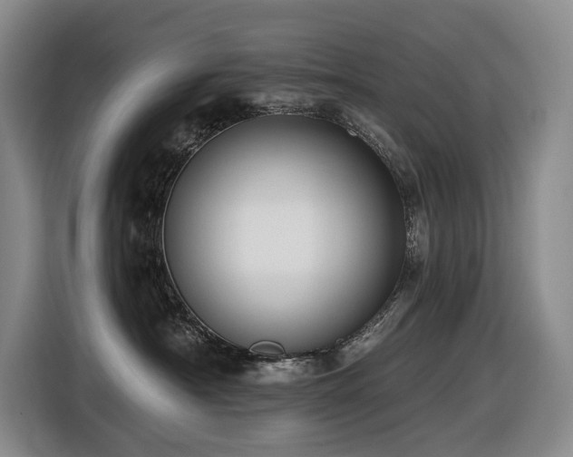 X0000116450430200912081622