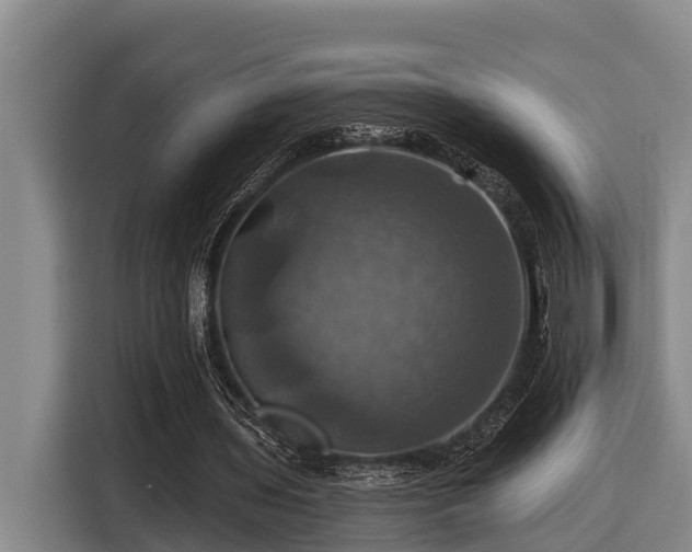 X0000116450435200912081621